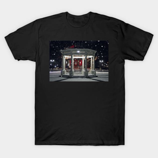 Elyria, Ohio, Gazebo in the snow T-Shirt by irishmurr